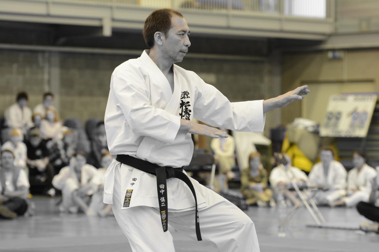 Stage TANAKA Sensei Mars 2019